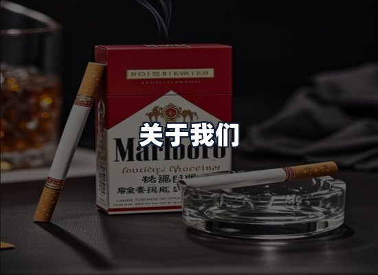 关于我们
